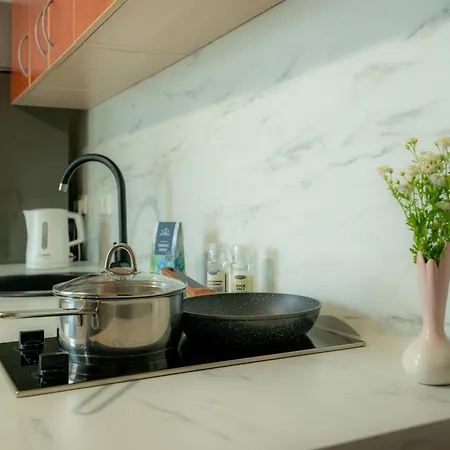 Loft Apartment Druskininkai