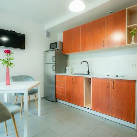 Apartment Loft Druskininkai