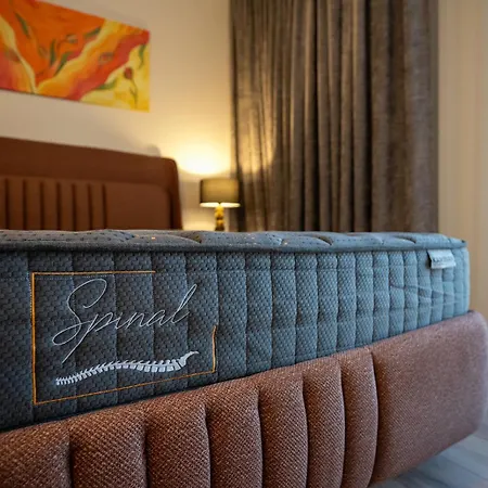 Apartment Loft Druskininkai