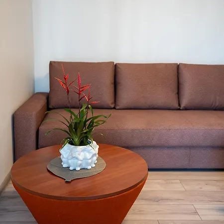 Loft Druskininkai
