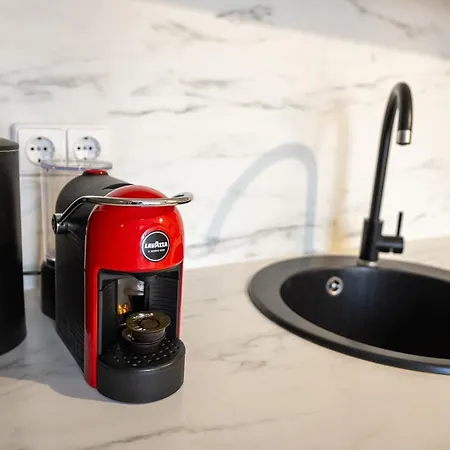 Loft Apartment Druskininkai