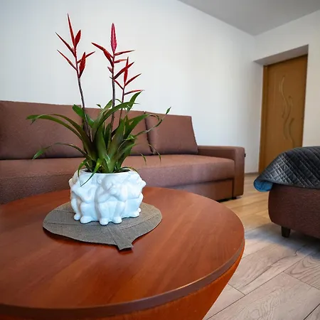 Loft Druskininkai
