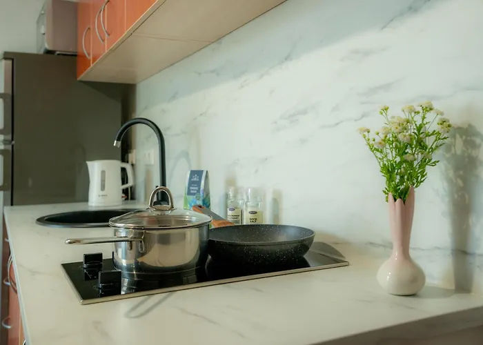 Loft Apartment Druskininkai