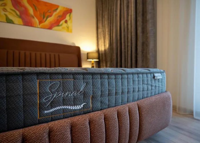 Apartment Loft Druskininkai