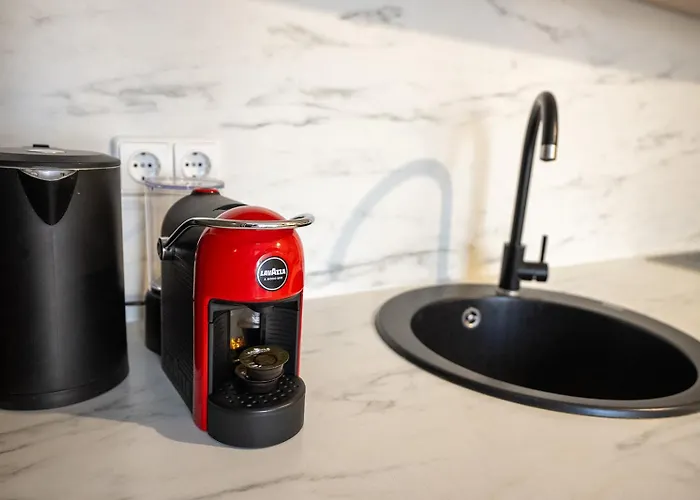 Loft Apartment Druskininkai