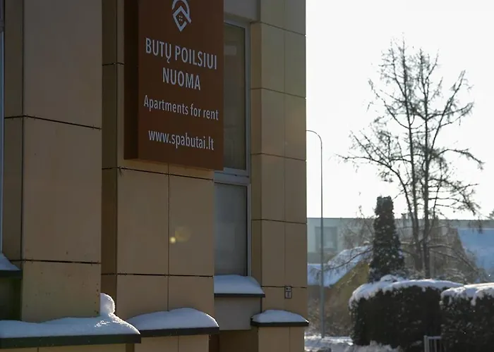 Apartment Loft Druskininkai